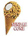 Sundae Cone Manassas Virginia