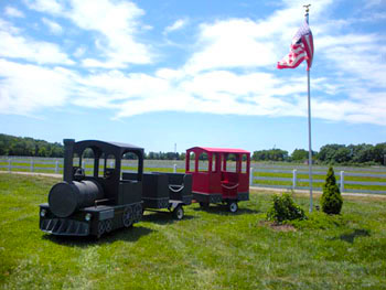 Large Train Ride for Kids and Adults Northern Virginia