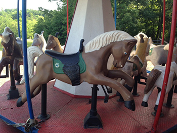 Merry Go Round Amusement for Children Manassas Virginia