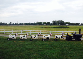 Childrens Cow Train Amusement Ride Fairfax Virginia