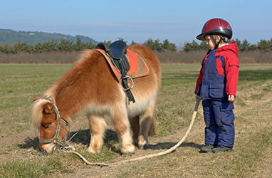 Pony Kid Field Reston Virginia