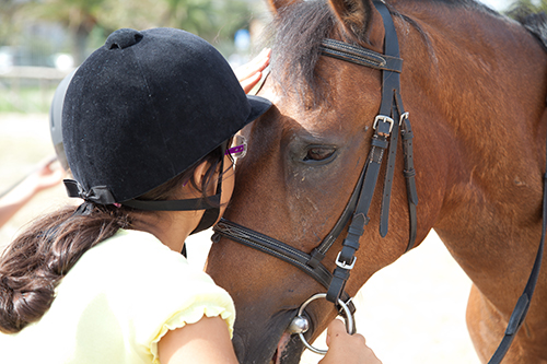 Centreville and Chantilly Pony Ride