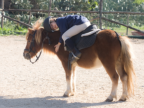 Pony Rides Herndon Virginia