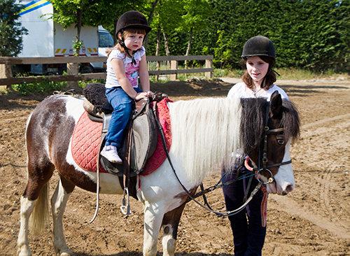 Pony Rides Reston Virginia