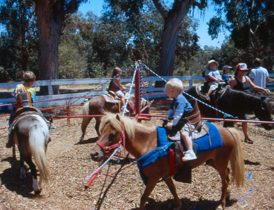 Pony Rides Fairfax Virginia