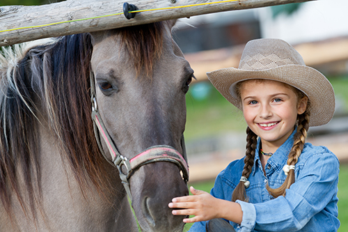 Pony Rides Gainesville Virginia
