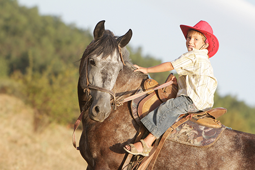 Pony Rides Winchester Virginia