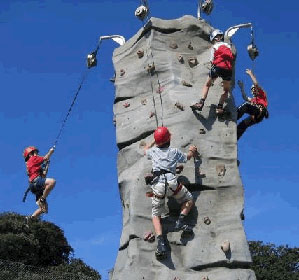 Rock Climbing Wall Amusement Fairfax Virginia